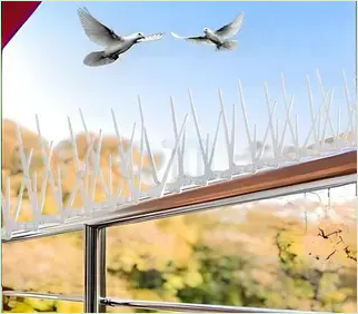 Bird Spikes